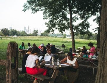 An event exploring the outdoor world in black literature in the picnic grove at Bartram's Garden was organized by the Free Library's Center for Public Life. | Neal Santos for PlanPhilly