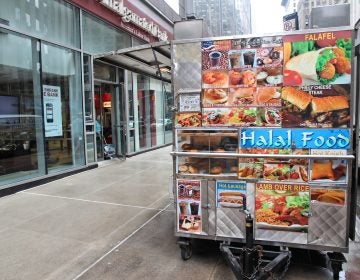 Halal food cart in New York. (Tupungato)