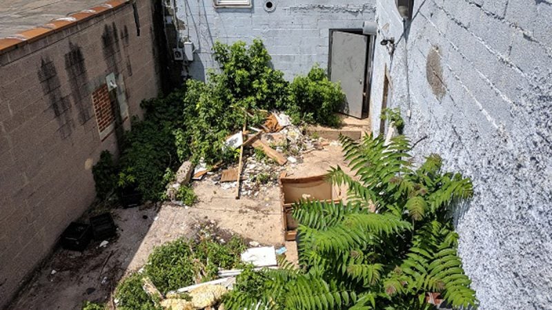 The future beer garden at Harris Family Brewery. (Rachel McDevitt/WITF)