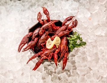 Louisiana crawfish caught in waters in and around Berlin are on display at Fisch Frank fish restaurant in Berlin. They are an invasive species and authorities recently licensed a local fisherman to catch them and sell them to local restaurants. (Carsten Koall/Getty Images)