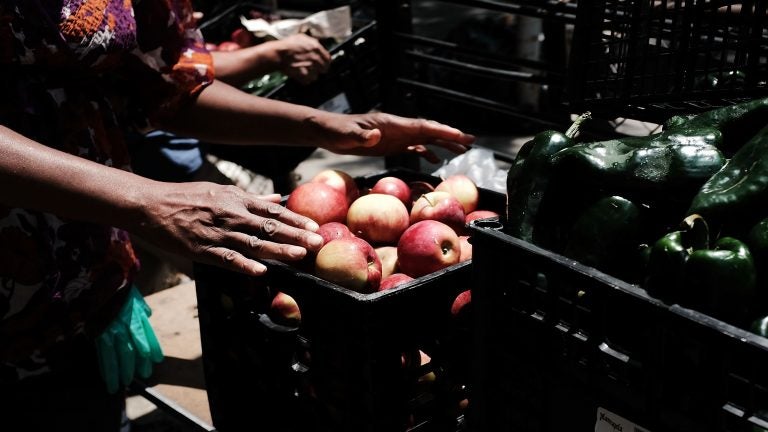 A woman packs crates at a  weekly free food pantry in the Bronx in New York City. The Trump administration is considering penalizing legal immigrants for using government benefits such as Medicaid and food stamps