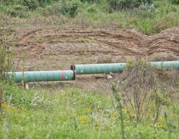 A Mariner East 2 pipeline construction site is shown off Valley Road near Media, Pensylvaniaa., on Aug. 22. The site is close to where Sunoco is digging up a section of the pipeline after discovering a coating issue that needed to be fixed. (Kimberly Paynter/WHYY)