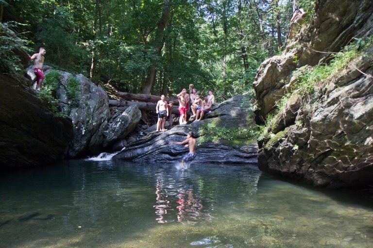 Devil's Pool is hidden away in Wissahickon Valley Park, but most locals know how to find it. (Kimberly Paynter/WHYY)