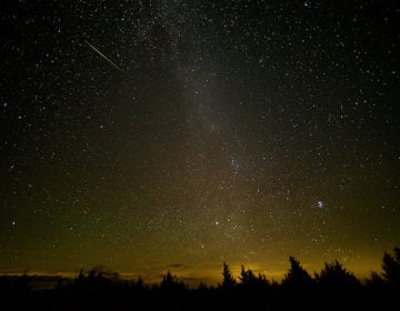 In this 30 second exposure, a meteor streaks across the sky during the annual Perseid meteor shower Friday, Aug. 12, 2016 in Spruce Knob, West Virginia. Photo Credit: (NASA/Bill Ingalls)