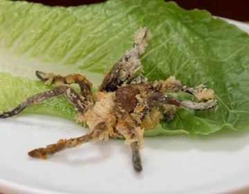 Deep-fried tarantula. Hungry yet?
(Smithsonian Networks)