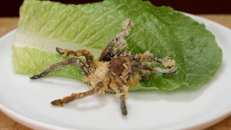 Deep-fried tarantula. Hungry yet?
(Smithsonian Networks)