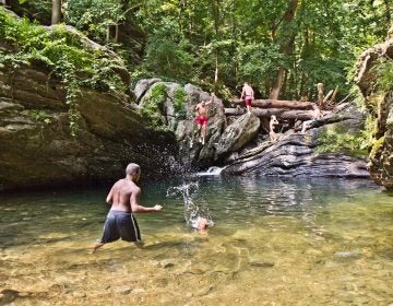 Swimmers cool off in the Devil’s Pool in Fairmount Park in Philadelphia. (Kimberly Paynter/WHYY)