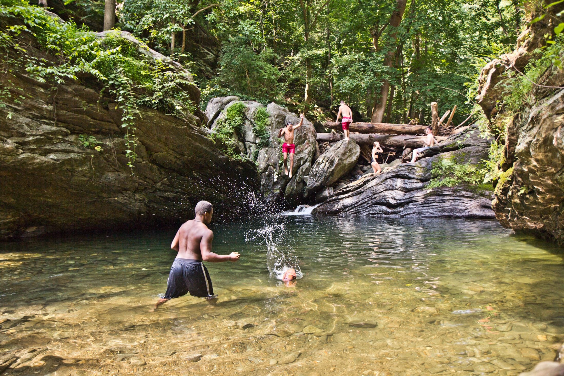 Which streams in the Delaware Watershed are too dirty for swimming and fishing?