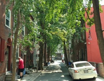 The 100 block of Mole Street — in Center City. (Jake Blumgart/PlanPhilly)