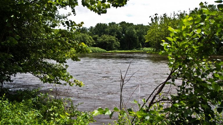 Delaware Water Gap. (Kim Paynter/WHYYNews)