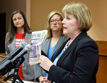 Cathy Stone (right), executive director of the Domestic Abuse Project of Delaware County, holds up a headline-grabbing example of domestic abuse during a press conference to promote Pensylvania House Bill 2060, which prohibits abusers from possessing guns. She is joined by (from left) Sara Wallace of Moms Demand Action and state Rep. Leanne Krueger-Braneky, a co-sponsor of the bill. (Emma Lee/WHYY)