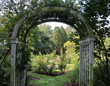 The Arboretum at the Barnes Foundation in Lower Merion will become instrumental in educating horticulture students at St. Joseph's University under a new partnership that will enhance opportunities for students at both institutions. (Emma Lee/WHYY)