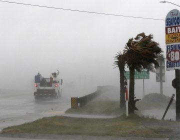 A work truck drives on Hwy 24 as the wind from Hurricane Florence blows palm trees in Swansboro N.C., Thursday, Sept. 13, 2018. (Tom Copeland/AP Photo)