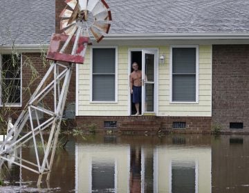 A man peers from his flooded home in Lumberton, N.C., Sunday, Sept. 16, 2018, in the aftermath of Hurricane Florence. (AP Photo/Gerry Broome)