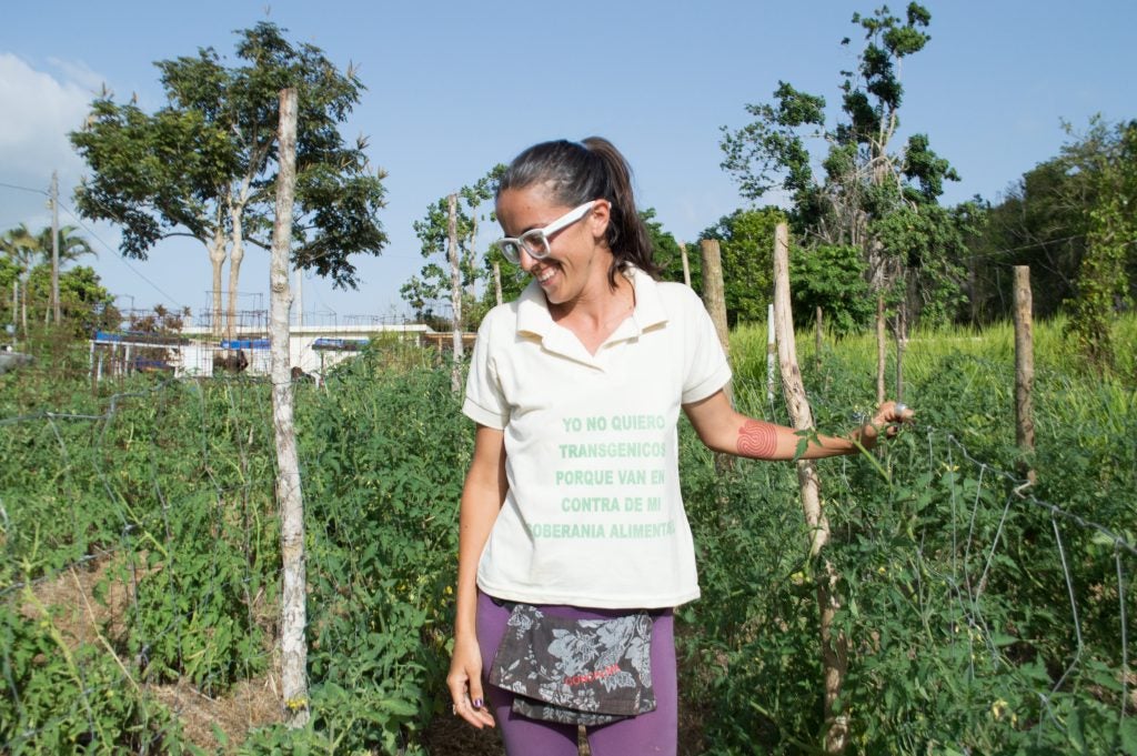Daniella Rodriguez Besosa on her sustainable farm in Aibonito. (Paige Pfleger/for WHYY) 