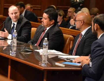 Guthrie Medical Group executive David Hall speaks before the House Professional Licensure Committee, advocating for proposed Senate Bill 780, which would regulate telemedicine and require insurers to cover it. (Brett Sholtis/Transforming Health)