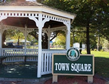 Residents in Ellendale, Delaware, voted Saturday to have public water. For decades, many have contended with smelly, discolored water from wells. (Courtesy of Jean Holloway)