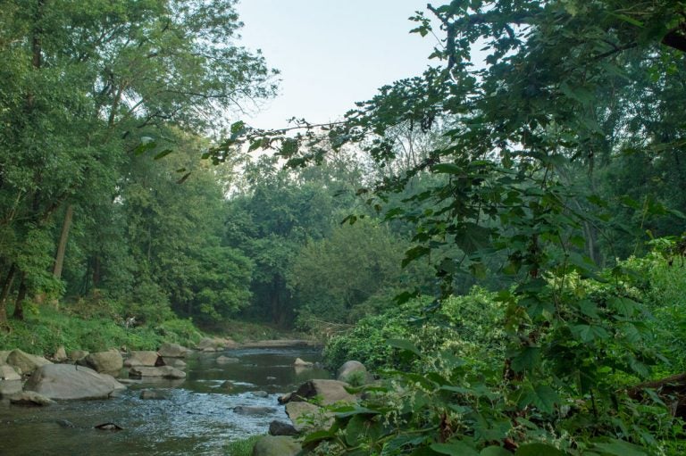 Grounds along the Tacony Creek  in Northeast Philadelphia will now be open to the public after Natural Lands, a conservation group, invested $500,000 to create a conservation easement that preserves 49 acres of the Friends Hospital property. (Mae Axelrod / Natural Lands)