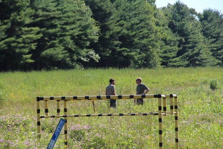 DCNR forester Ben Gamble, left, and Kelly Sitch, right, an ecologist for the agency, on a pipeline right-of-way in the Tiadaghton State Forest. (Reid R. Frazier/Allegheny Front) 