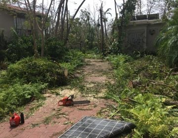 In the days after the hurricane, Mariana Ortiz-Blanes documented the devastation around her family home. She took photos and short videos — then sent them to her daughter in Philadelphia — as Hurricane Maria swept across Puerto Rico. Photo Credit: Mariana Ortiz-Blanes