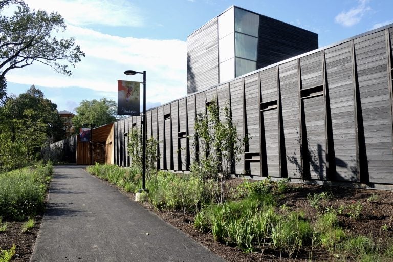 New York's High Line: Why cities want parks in the sky - BBC News