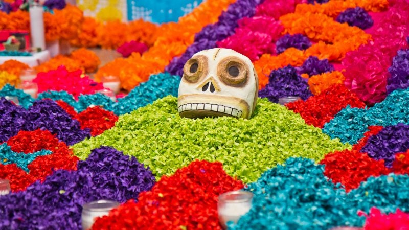 A skull emerges from the paper flower petals at the Day of the Dead altar at the Penn Museum. (Kimberly Paynter/WHYY)