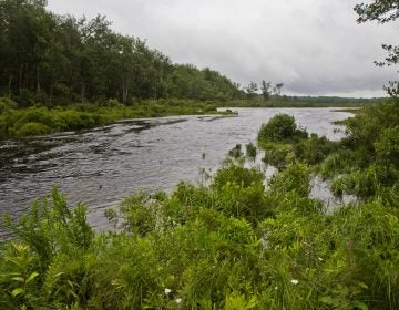 The Tunkhannock Creek crosses Pocono Raceway property in Long Pond, Pa. It feeds into the Delaware River. (Kimberly Paynter/WHYY)