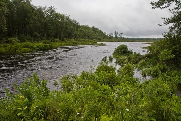 The Tunkhannock Creek crosses Pocono Raceway property in Long Pond, Pa. It feeds into the Delaware River. (Kimberly Paynter/WHYY)