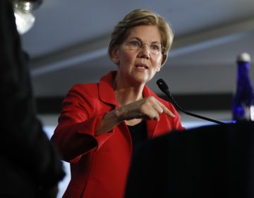 Sen. Elizabeth Warren, D-Mass., gestures while speaking at the National Press Club in Washington, Tuesday, Aug. 21, 2018. (Pablo Martinez Monsivais/AP Photo)