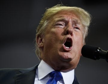 President Donald Trump speaks during a campaign rally at the Landers Center Arena, Tuesday, Oct. 2, 2018, in Southaven, Miss. (AP Photo/Evan Vucci)