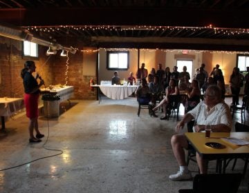 Elizabeth Fiedler, a candidate for state representative in Philadelphia, speaking at a fundraiser for DSA candidates in Pittsburgh. (Reid R. Frazier/StateImpact Pennsylvania)
