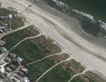 Authorities say dune trees were cut in the area of the 32nd Street beach. (Google image)