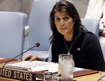 U.S. Ambassador Nikki Haley addresses the United Nations Security Council, Monday, Sept. 17, 2018, at U.N. headquarters. (Richard Drew/AP Photo)
