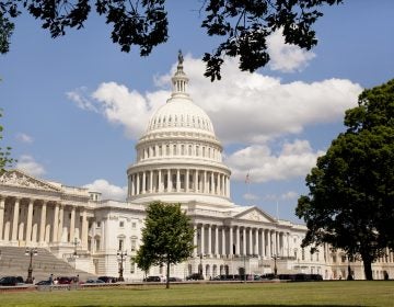 The United States Capitol in Washington D.C.  (Nick Jene/BigStock)