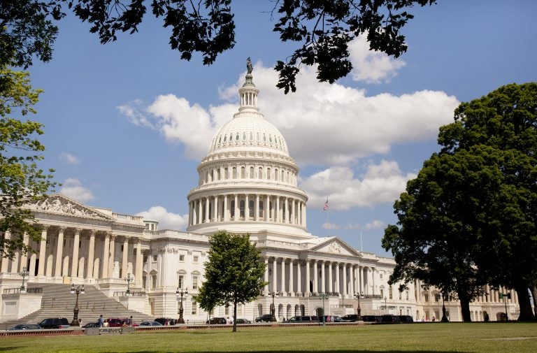 The United States Capitol in Washington D.C.  (Nick Jene/BigStock)