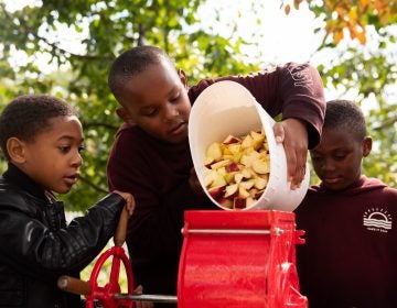 Devin Puckett, along with Clyde and Saheir Beatty, empty a bucket of apples into a fruit grinder during the East Park Apple Festival at Woodford Mansion in Fairmount Park. (Kriston Jae Bethel for WHYY)