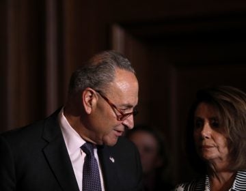 House Minority Leader Nancy Pelosi and Senate Minority Leader Chuck Schumer appear at a news conference at the U.S. Capitol June 28. Democrats have been hopeful about making big gains in the midterm elections, but a new NPR/PBS NewsHour/Marist poll shows Republican enthusiasm surging. (Aaron P. Bernstein/Getty Images)