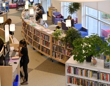 Lovett Memorial Library, in Mt Airy on Oct 1, 2018. (Bastiaan Slabbers for WHYY)