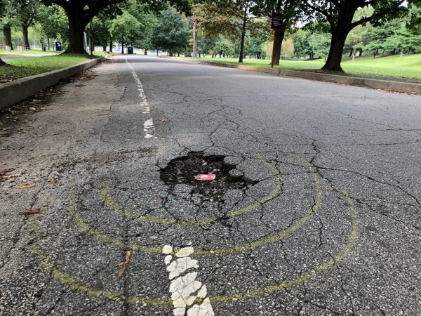 One of several large potholes at FDR Park in South Philadelphia. (Meir Rinde for WHYY)