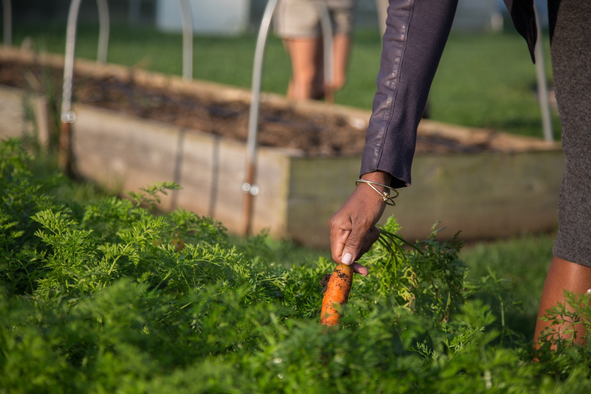 Chinwe Onyekere, picks a carrot from the hospital's Wellness Farm.