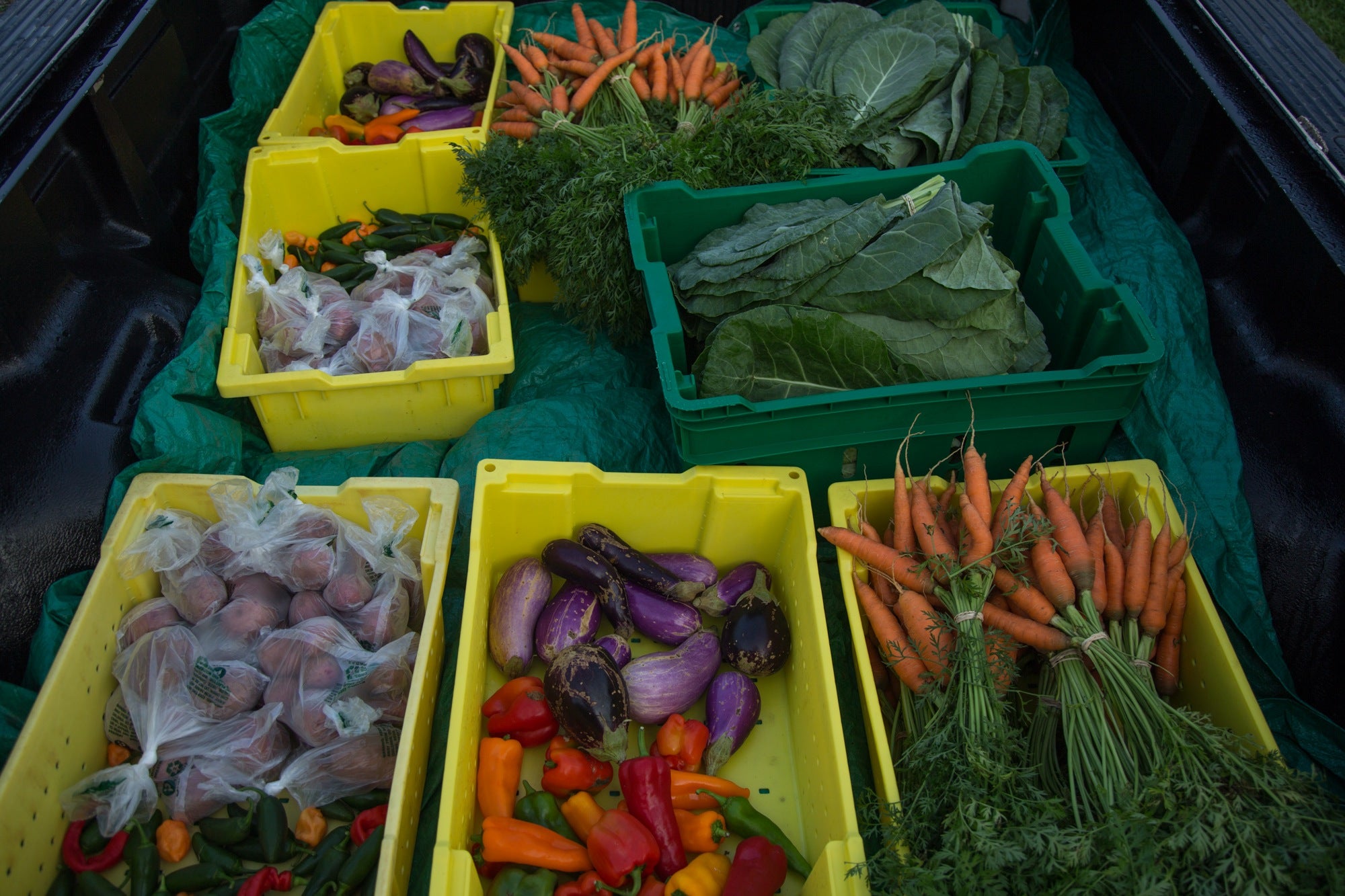 All produce grown at the Lankenau Hospital's Wellness Farm goes directly to the patients, free of charge, along with tips and recipes for healthy cooking.