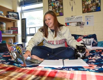 Lock Haven University will launch a pilot pet-friendly program in January when the spring semester begins. (Courtesy of Lock Haven University)