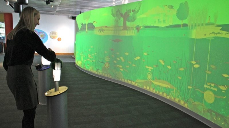 A visitor activates the River Continuum Wall, triggering digitally animated scenes that show the life of the river. (Emma Lee/WHYY)