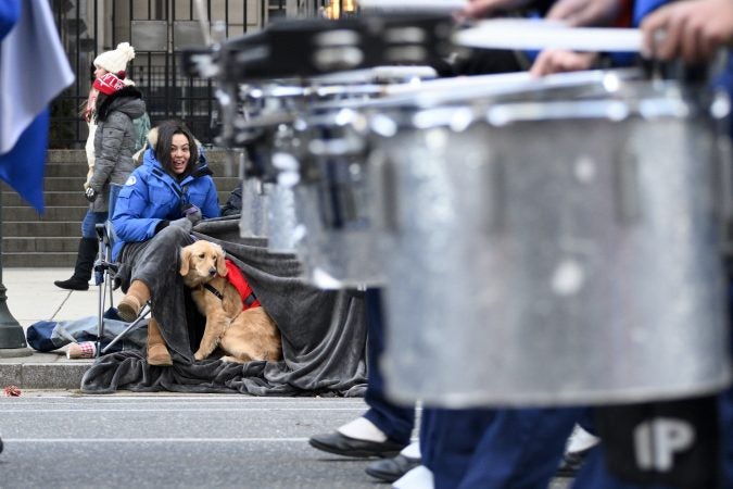 Knoedels the dog watches a drum band march past during the 99th annual Thanksgiving Day Parade in Center City Philadelphia. (Bastiaan Slabbers for WHYY)