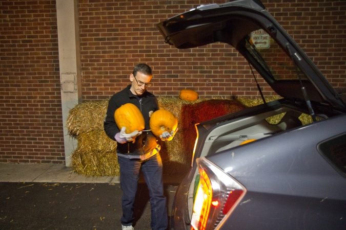 Steve Levy loads pumpkins into his car as during a collection in South Philadelphia. (Kimberly Paynter/WHYY)