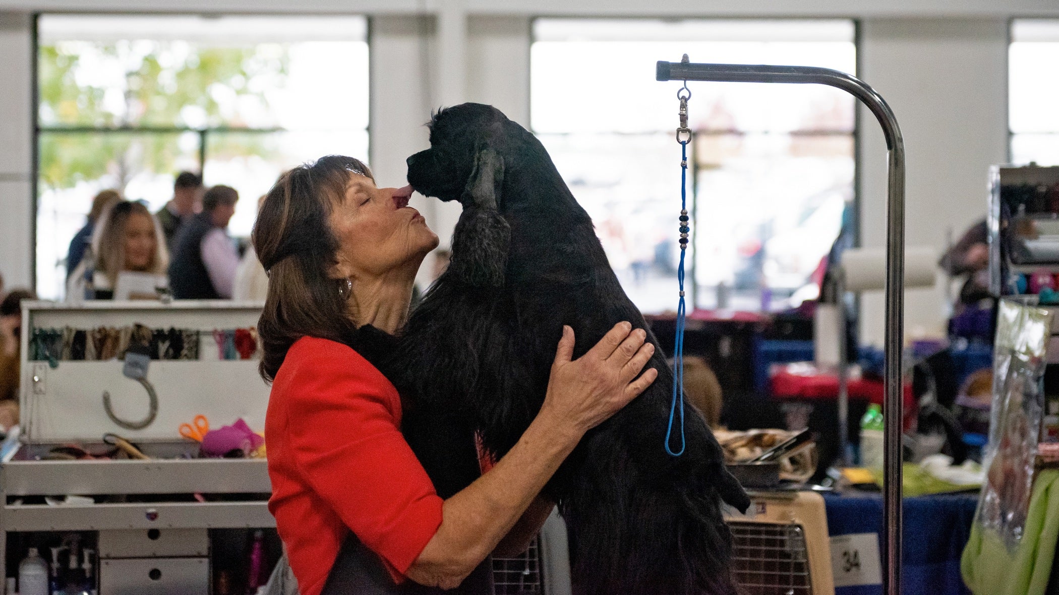 Champs take a bow wow at National Dog Show - WHYY