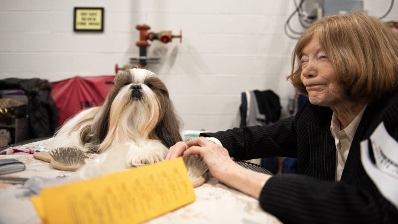 Arlene Iliesco sits with her shih tzu, Princess Leah, at the National Dog Show in Oaks, Pa. (Kriston Jae Bethel for WHYY)