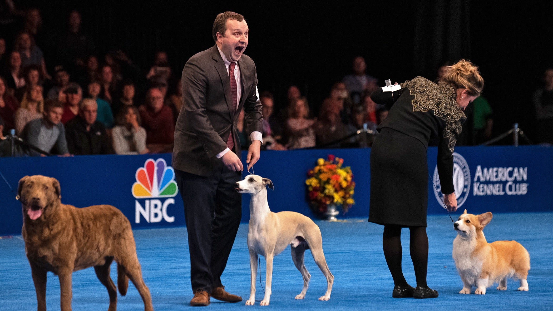 Justin Smithey reacts to the announcement that his 3-year-old whippet, Whiskey, won Best in Show at the National Dog Show in Oaks, Pa.