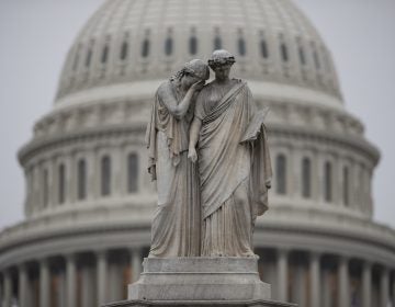 The Capitol Dome looms behind the Peace Monument statue on a rainy Election Day in Washington, Tuesday, Nov. 6, 2018.  (AP Photo/J. Scott Applewhite)