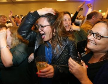 Supporters cheer for Tom Malinowski, during his election night party Tuesday, Nov. 6, 2018, in Berkeley Heights, N.J. (Noah K. Murray/AP Photo)